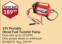Princess Auto 12V Portable Diesel Fuel Transfer Pump offer