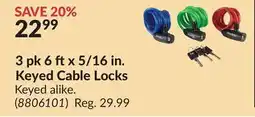 Princess Auto 3 pk 6 ftx 5/16 in. Keyed Cable Locks offer