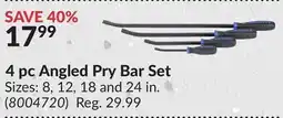 Princess Auto 4 pc Angled Pry Bar Set offer