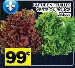 Supermarché PA LAITUE EN FEUILLES VERTE OU ROUGE | Lettuce offer