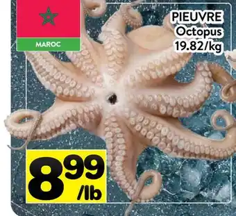 Supermarché PA PIEUVRE | Octopus offer