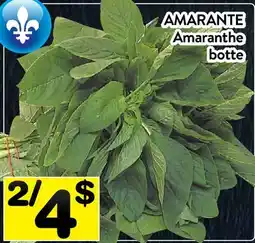 Supermarché PA AMARANTE | Amaranthe botte offer