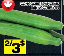 Supermarché PA CONCOMBRES ANGLAIS | English Cucumbers offer