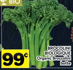 Supermarché PA BROCOLINI BIOLOGIQUE | Organic Broccolini botte offer
