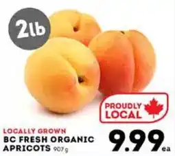 BC fresh organic lb apricots