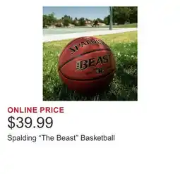 Costco Spalding The Beast Basketball offer