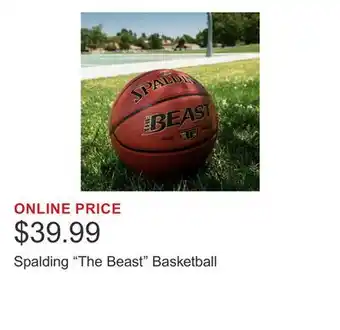 Costco Spalding The Beast Basketball offer