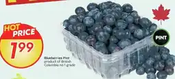 Sobeys Blueberries pint offer