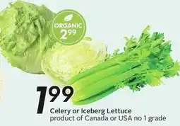 Sobeys Celery or iceberg lettuce offer