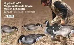 Cabela's Higdon FLATS Magnum Canada Goose Motion Silhouette offer