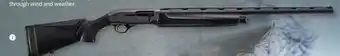 Cabela's Beretta A300 Ultima Shotgun offer