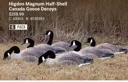 Cabela's Higdon Magnum Half-Shell Canada Goose Decoys offer