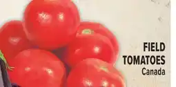 Marché Adonis FIELD TOMATOES offer
