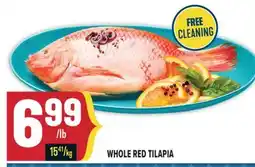 Marché Adonis WHOLE RED TILAPIA offer