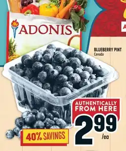 Marché Adonis BLUEBERRY PINT offer