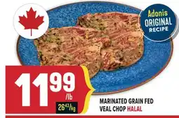 Marché Adonis MARINATED GRAIN FED HALAL offer