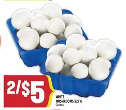 Marché Adonis WHITE MUSHROOMS offer