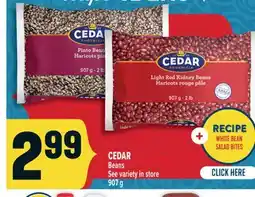 Marché Adonis CEDAR Beans offer