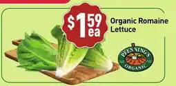 Healthy Planet Organic Romaine Lettuce offer
