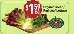 Healthy Planet Organic Green/Red Leaf Lettuce offer