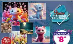 Showcase Studio DIAMOND PAINTINGS offer