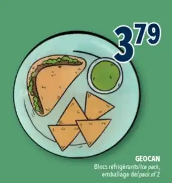 Familiprix GEOCAN Ice pack, pack of 2 offer