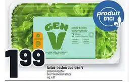 Metro LAITUE BOSTON DUO GEN V | GEN V DUO BOSTON LETTUCE offer