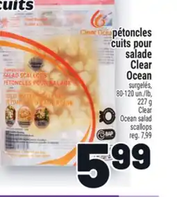 Metro PÉTONCLES CUITS POUR SALADE CLEAR OCEAN | CLEAR OCEAN SALAD SCALLOPS offer
