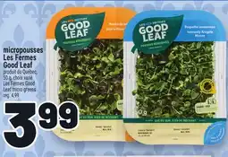 Metro MICROPOUSSES LES FERMES GOOD LEAF | LES FERMES GOOD LEAF MICRO GREENS offer