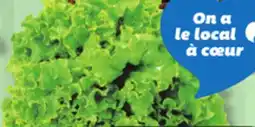 IGA GREEN LEAF LETTUCE offer