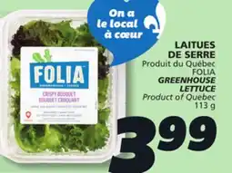 IGA FOLIA GREENHOUSE LETTUCE offer