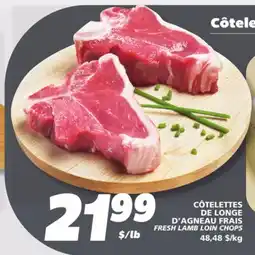 IGA FRESH LAMB LOIN CHOPS offer