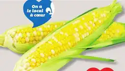 IGA CORN ON A COB offer