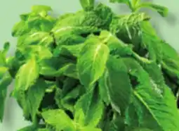 IGA MINT offer