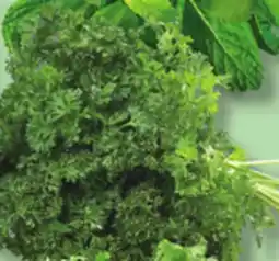 IGA CURLY PARSLEY offer