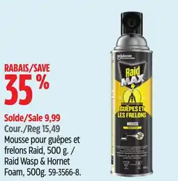 Canadian Tire Raid Wasp & Hornet Foam offer