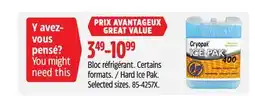 Canadian Tire Cryopak Hard Ice Pak. Selected sizes offer