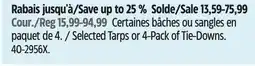 Canadian Tire Selected Tarps or 4-Pack of Tie-Downs offer