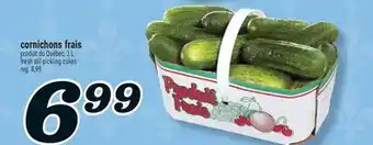 Marché Richelieu CORNICHONS FRAIS | FRESH DILL PICKLING CUKES offer