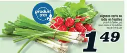 Marché Richelieu Oignons Verts ou Radis en Feuilles | Green Onions or Top Radishes offer