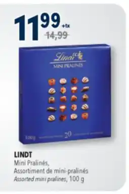 Familiprix LINDT, Mini Pralinés, Assorted mini pralines, 100 g offer