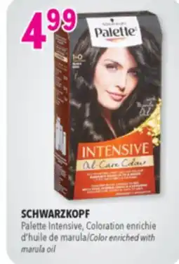 Familiprix SCHWARZKOPF Palette Intensive Oil-Care Colour permanent hair dye #1-0 Black offer
