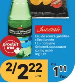 Brunet IRRESISTIBLE Selected carbonated spring water offer