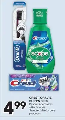 Brunet CREST, ORAL-B, BURT'S BEES Produits dentaires sélectionnés offer
