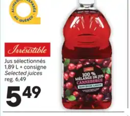 Brunet IRRESISTIBLE Jus sélectionnés offer