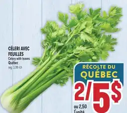 Marché Adonis CÉLERI AVEC FEUILLES | CELERY WITH LEAVES offer