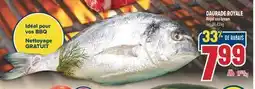 Marché Adonis DAURADE ROYALE | Royal sea bream offer