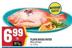 Marché Adonis TILAPIA ROUGE ENTIER | WHOLE RED TILAPIA offer
