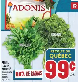 Marché Adonis PERSIL ITALIEN OU FRISÉ | Italian or curly parsley offer