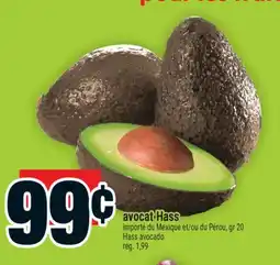 Super C avocat Hass | Hass avocado offer